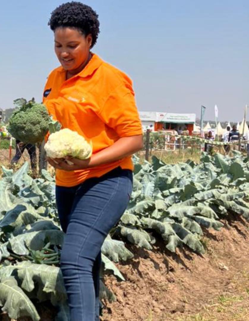 Cauliflower & Broccoli